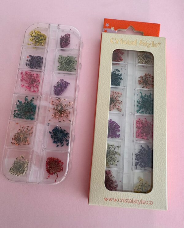 Flores secas caja x12